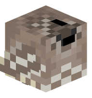 California Quail (Female)