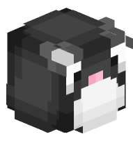 Squishmallows Autumn The Black Cat