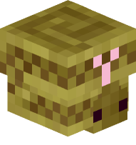 Desert Snake (upside down)