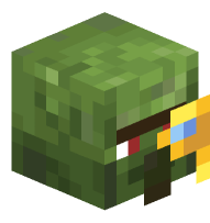 Cartographer Zombie Villager