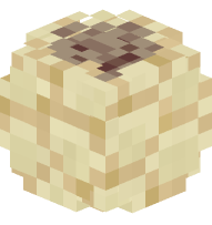 Sandstone Fossil (Shell)