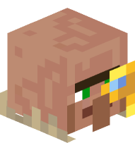 Cartographer Villager