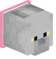 Collared British Shorthair Cat (pink)