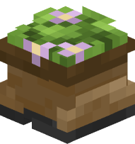 Magenta flowers in a boot