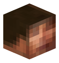Pixelated Steve