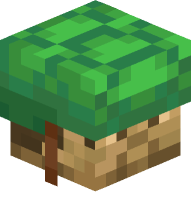 Oak Wood Steve with Turtle Helmet