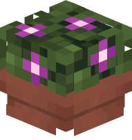 Flower Pot (Magenta)