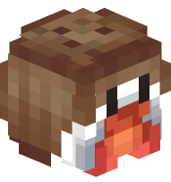 Hermit Crab in a Coconut