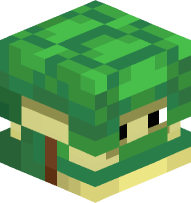 Turtle Shulker