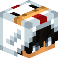 Boy with Chicken Costume