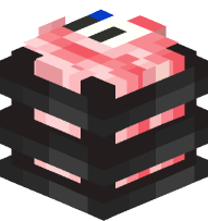 Packaged Boneless Center Cut Pork Loins