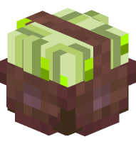 Basket of Sugar Cane