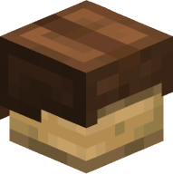 Leather Helmet (brown)