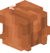 Pecan (without shell)