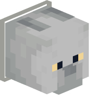 Collared British Shorthair Cat (light gray)