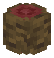 Mangrove Log (rounded)