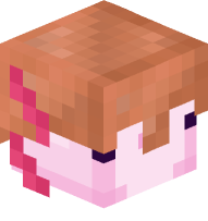 Axolotl with Copper Helmet