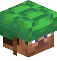 Steve with Turtle Shell