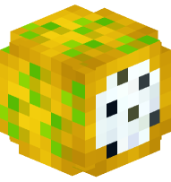 Dragon Fruit (sliced)