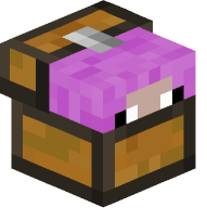 Magenta Sheep in Chest