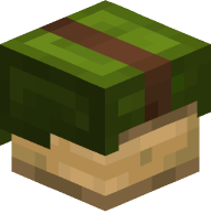 Leather Helmet (green)