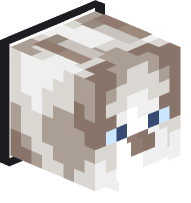 Collared Ragdoll Cat (black)