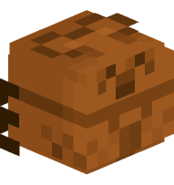 Beetle over the line