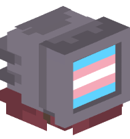 Trans Computer