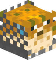 Pufferfish with Chainmail Helmet