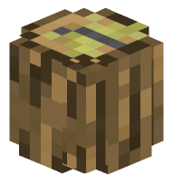 Butterfly on an Oak Log