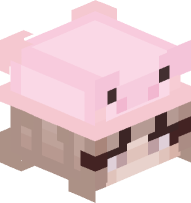 Girl with Pig Costume