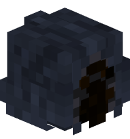 Death Acolyte Override