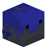 Tropical Fish (cichlid)