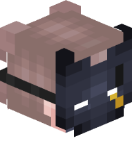 Boy with Batman Mask