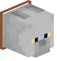 Collared British Shorthair Cat (brown)