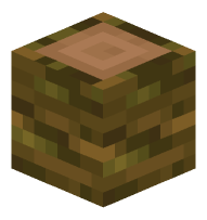 Jungle Log