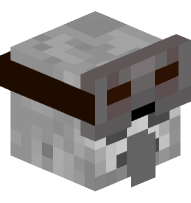 Armorer Villager Skeleton