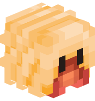 Cantaloupe Hermit Crab