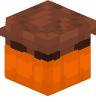 Chocolate Cupcake (Orange)