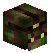 Backpack (camoflage)