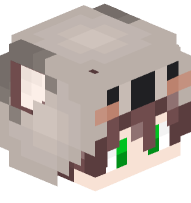 Boy with Koala Costume