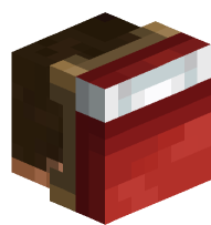 Steve with Bed in Face