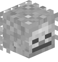 Skeleton with Chainmail Helmet