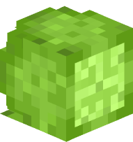 Lime (Sliced)