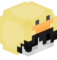 Boy with Duck Costume