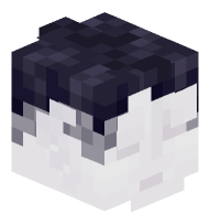 Mannequin with Black Wig