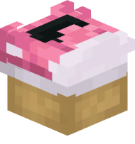 Converse Shoe (pink)