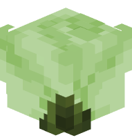 Dusty Light Green Rose