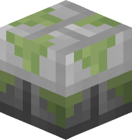 Mossy Stone Brick Slabs