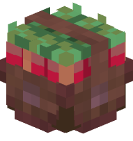 Basket with Beetroot